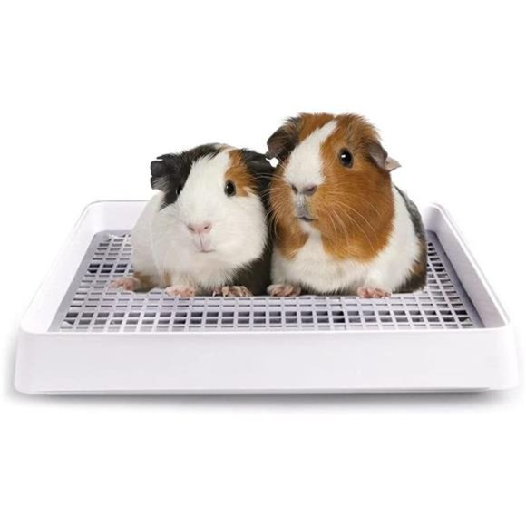 Small Pets 15x12 Guinea Pig Litter Pan With Grid Small Animal Litter